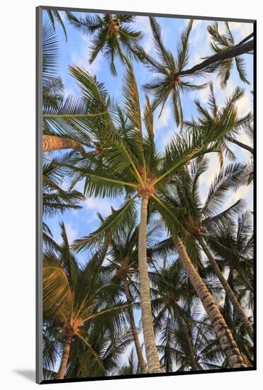 Anaeho'omalu Bay, Kohala Coast, Big Island, Hawaii, USA-Stuart Westmorland-Mounted Photographic Print