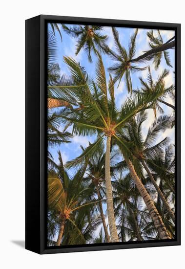 Anaeho'omalu Bay, Kohala Coast, Big Island, Hawaii, USA-Stuart Westmorland-Framed Stretched Canvas