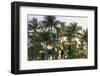 Anaeho'omalu Bay, Kohala Coast, Big Island, Hawaii, USA-Stuart Westmorland-Framed Photographic Print