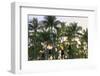 Anaeho'omalu Bay, Kohala Coast, Big Island, Hawaii, USA-Stuart Westmorland-Framed Photographic Print