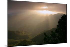 Anaga Mountains, Tenerife, 2007-Peter Thompson-Mounted Photographic Print