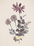 Weeds-Anahata Katkin-Giclee Print