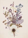 Floral Fusion-Anahata Katkin-Giclee Print