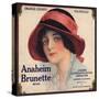 Anaheim Brunette Brand - Anaheim, California - Citrus Crate Label-Lantern Press-Stretched Canvas