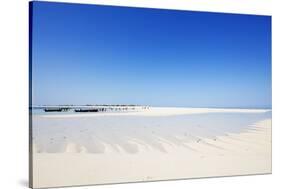 Anakao, Nosy Ve island, southern area, Madagascar, Africa-Christian Kober-Stretched Canvas