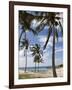 Anakena Beach, Easter Island (Rapa Nui), Chile, South America-Michael Snell-Framed Photographic Print