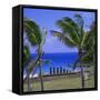 Anakena Beach with Ahu Nau Nau, Easter Island, Chile, Pacific-Geoff Renner-Framed Stretched Canvas