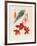 Analytical Drawing of a Flower, Leaves and a Section of Branch (W/C and Bodycolour on Card)-Alfred Riocreux-Framed Giclee Print