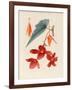 Analytical Drawing of a Flower, Leaves and a Section of Branch (W/C and Bodycolour on Card)-Alfred Riocreux-Framed Giclee Print