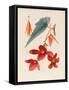 Analytical Drawing of a Flower, Leaves and a Section of Branch (W/C and Bodycolour on Card)-Alfred Riocreux-Framed Stretched Canvas