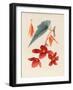 Analytical Drawing of a Flower, Leaves and a Section of Branch (W/C and Bodycolour on Card)-Alfred Riocreux-Framed Giclee Print
