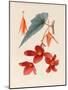 Analytical Drawing of a Flower, Leaves and a Section of Branch (W/C and Bodycolour on Card)-Alfred Riocreux-Mounted Giclee Print