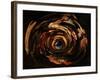 Anamorphosis of Rubens-Domenico Piola I-Framed Giclee Print