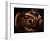 Anamorphosis of Rubens-Domenico Piola I-Framed Giclee Print