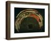 Anamorphosis-Jean Francois Niceron-Framed Giclee Print