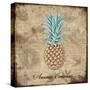 Ananas Comosus-Tina Lavoie-Stretched Canvas