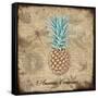 Ananas Comosus-Tina Lavoie-Framed Stretched Canvas