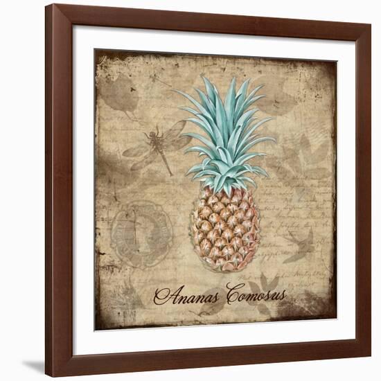 Ananas Comosus-Tina Lavoie-Framed Giclee Print