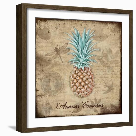 Ananas Comosus-Tina Lavoie-Framed Giclee Print