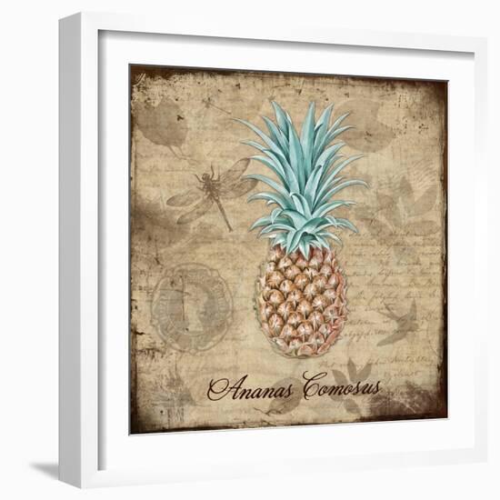 Ananas Comosus-Tina Lavoie-Framed Giclee Print