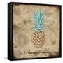 Ananas Comosus-Tina Lavoie-Framed Stretched Canvas