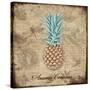 Ananas Comosus-Tina Lavoie-Stretched Canvas