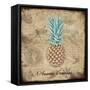 Ananas Comosus-Tina Lavoie-Framed Stretched Canvas