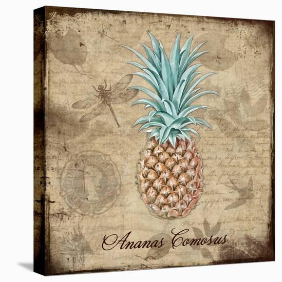 Ananas Comosus-Tina Lavoie-Stretched Canvas