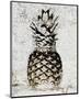 Ananas I-null-Mounted Art Print