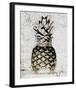 Ananas I-null-Framed Art Print
