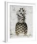 Ananas I-null-Framed Art Print