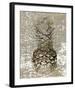 Ananas II-null-Framed Art Print