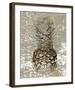 Ananas II-null-Framed Art Print