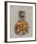 Ananas IV-null-Framed Art Print