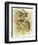 Ananas V-null-Framed Art Print