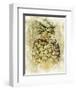 Ananas V-null-Framed Art Print