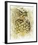 Ananas V-null-Framed Art Print