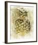 Ananas V-null-Framed Art Print