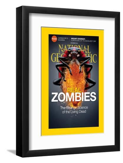 Premium Photographic Print, , large
