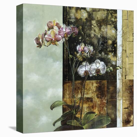 Anant Orchid II-Carney-Stretched Canvas