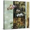 Anant Orchid II-Carney-Stretched Canvas