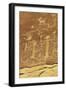 Anasazi Ancestral Puebloan Petroglyphs of Whipping Kachinas at Mesa Verde National Park-null-Framed Giclee Print