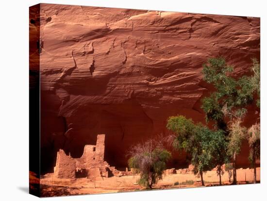 Anasazi Antelope House Ruin and Cottonwood Trees, Canyon de Chelly National Monument, Arizona, USA-Alison Jones-Stretched Canvas