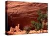 Anasazi Antelope House Ruin and Cottonwood Trees, Canyon de Chelly National Monument, Arizona, USA-Alison Jones-Stretched Canvas