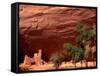 Anasazi Antelope House Ruin and Cottonwood Trees, Canyon de Chelly National Monument, Arizona, USA-Alison Jones-Framed Stretched Canvas