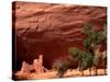 Anasazi Antelope House Ruin and Cottonwood Trees, Canyon de Chelly National Monument, Arizona, USA-Alison Jones-Stretched Canvas