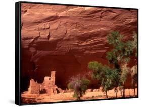 Anasazi Antelope House Ruin and Cottonwood Trees, Canyon de Chelly National Monument, Arizona, USA-Alison Jones-Framed Stretched Canvas