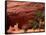 Anasazi Antelope House Ruin and Cottonwood Trees, Canyon de Chelly National Monument, Arizona, USA-Alison Jones-Framed Stretched Canvas