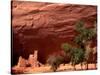 Anasazi Antelope House Ruin and Cottonwood Trees, Canyon de Chelly National Monument, Arizona, USA-Alison Jones-Stretched Canvas