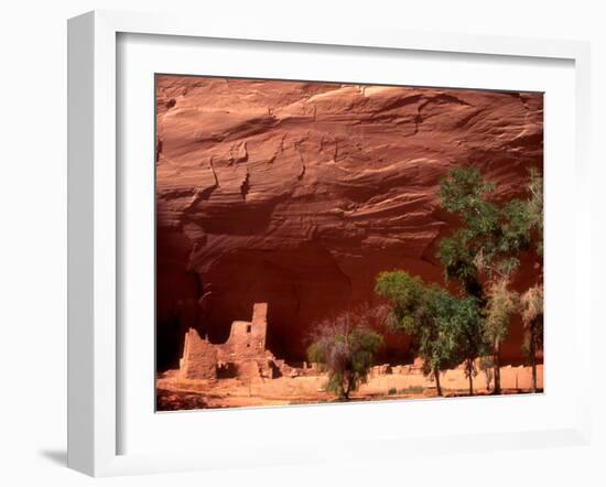 Anasazi Antelope House Ruin and Cottonwood Trees, Canyon de Chelly National Monument, Arizona, USA-Alison Jones-Framed Premium Photographic Print